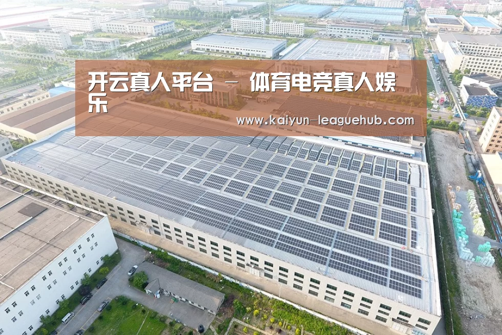 案例展示一