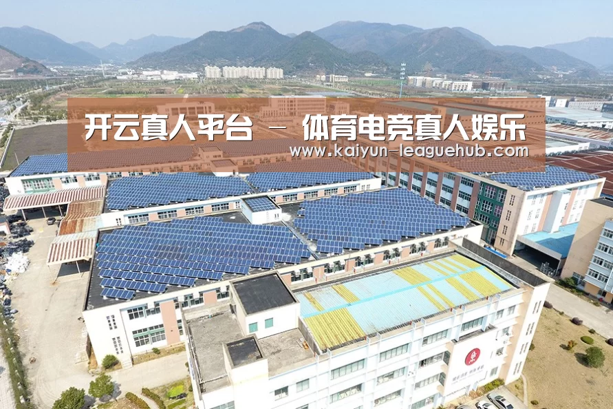 案例展示四