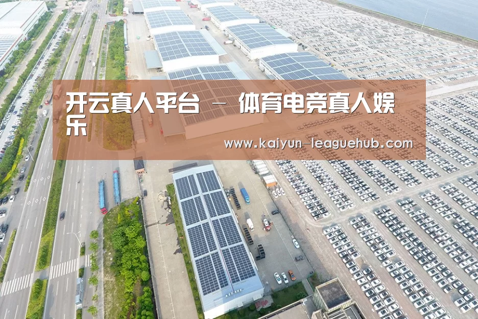 案例展示四