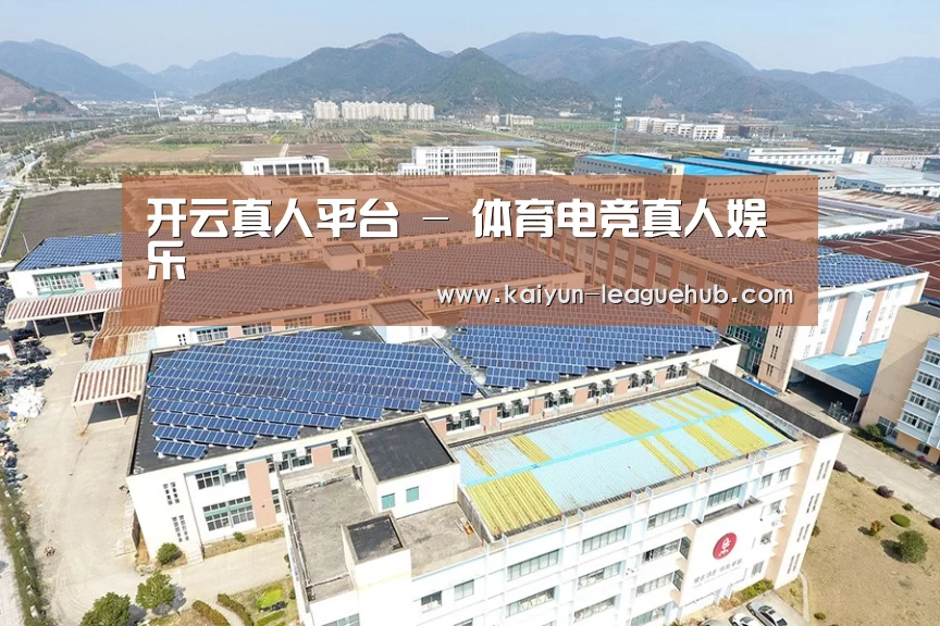 案例展示三