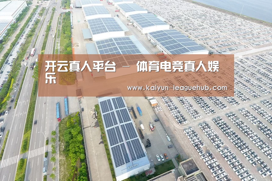 案例展示三