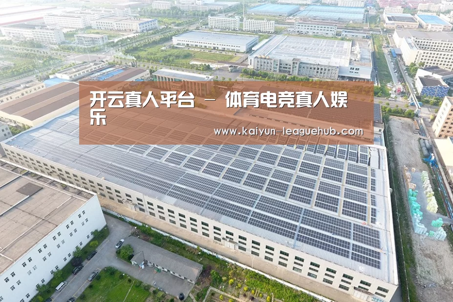 案例展示四