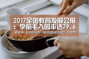 2017全国教育发展公报:学前毛入园率达79.6%,民办学校占比超三成【开云官方入口】(图4) 开云体育直播