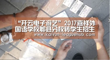 开云体育直播