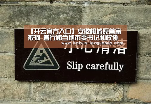 【开云官方入口】安徽桐城原首富被拘 曾行贿当地市委书记和政协主席(图3) 开云电子游艺