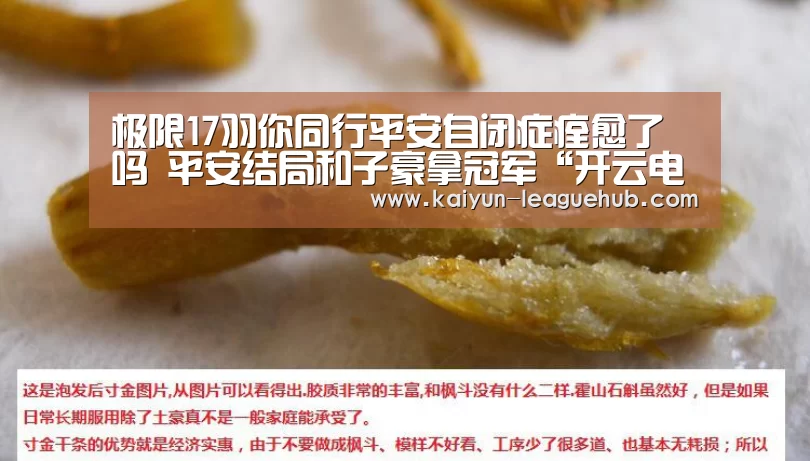 极限17羽你同行平安自闭症痊愈了吗 平安结局和子豪拿冠军“开云电子游艺”(图2) 开云电竞竞猜平台