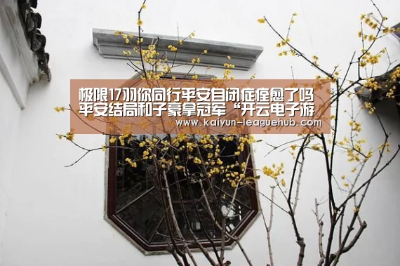 极限17羽你同行平安自闭症痊愈了吗 平安结局和子豪拿冠军“开云电子游艺”(图3) 开云官方入口