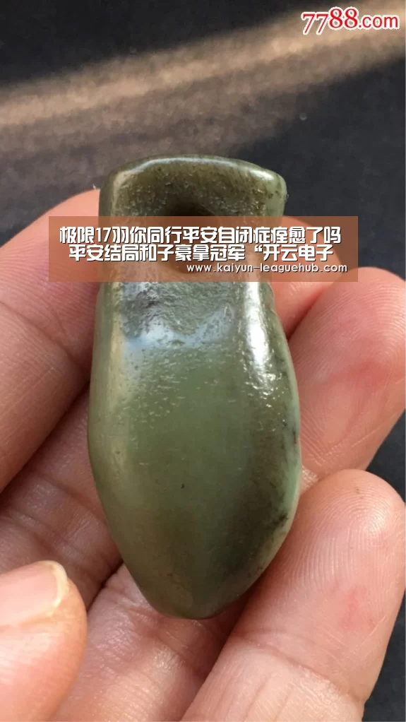 极限17羽你同行平安自闭症痊愈了吗 平安结局和子豪拿冠军“开云电子游艺”(图4) 开云官方入口