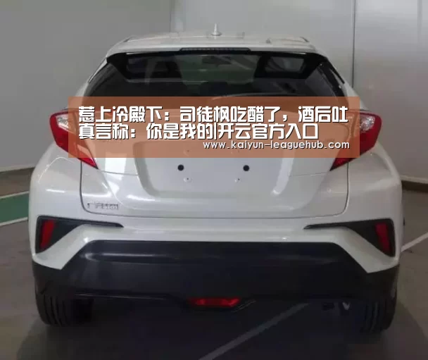 惹上冷殿下:司徒枫吃醋了,酒后吐真言称:你是我的|开云官方入口(图2) 开云电竞竞猜平台