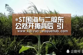 *ST围海与二股东公然开撕背后 引出了一笔14亿元并购标的财务疑点‘开云官方入口’(图3) 开云官方入口